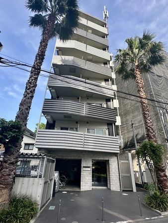 SPATIECASTELLOシントシン