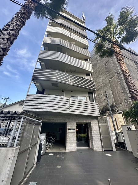 SPATIECASTELLOシントシン