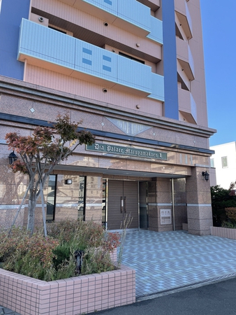 ダイアパレス円山公園3