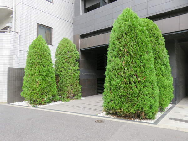 【ガーラグランディ五反田】エントランス