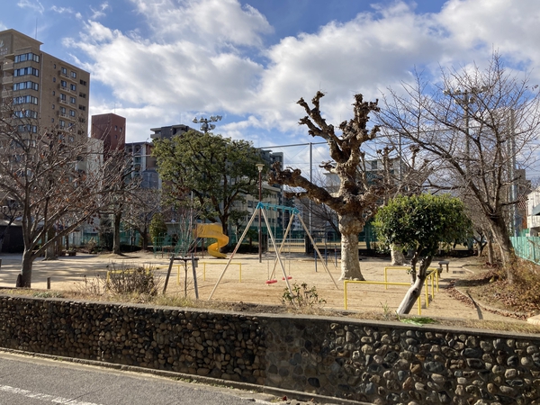 桑田公園 桑田公園