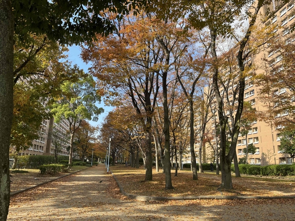中津公園に隣接しています