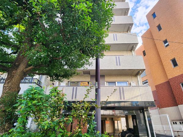 【エテルノ大井町】外観