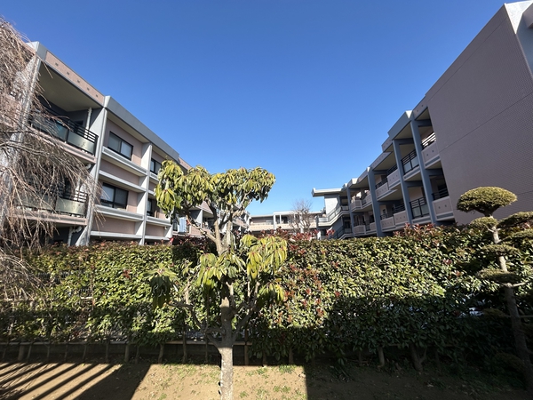 ザ・ステイツ志木幸町