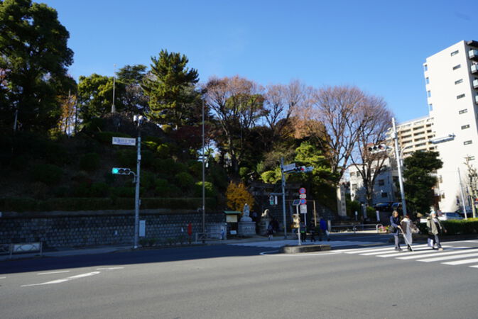 現地から約８０ｍの品川神社
