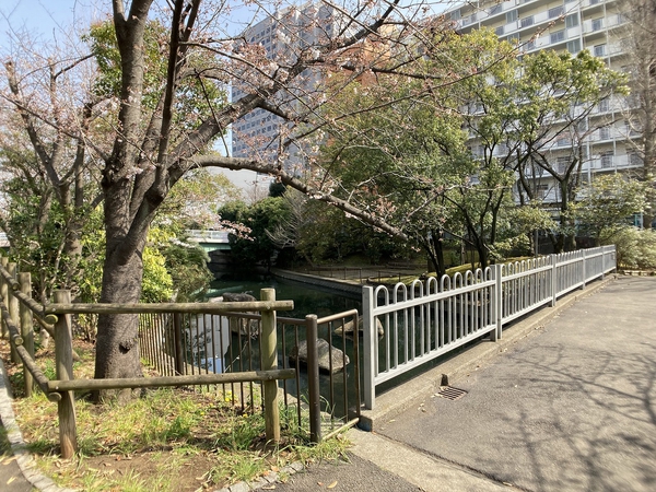 仙台堀川公園 仙台堀川公園