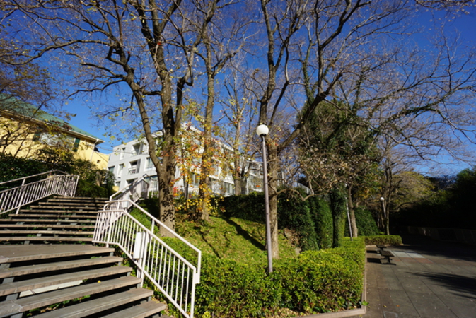 公開空地から本マンションを見上げる
