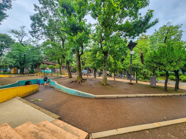 世田谷区立羽根木公園まで約700m(徒歩9分) 世田谷区立羽根木公園まで約700m(徒歩9分)