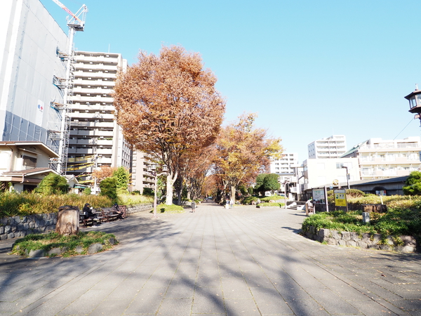 氷川参道 約420ｍ（徒歩6分）