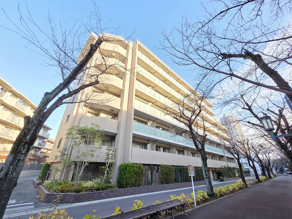 【ルピアシェリール武蔵浦和】外観 【ルピアシェリール武蔵浦和】外観