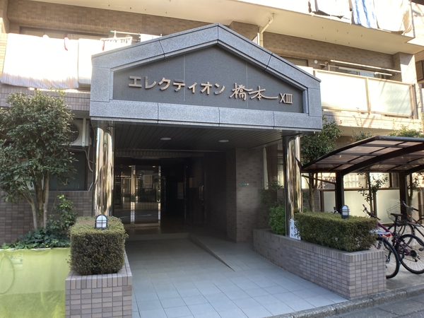 エレクティオン橋本ⅩⅢ