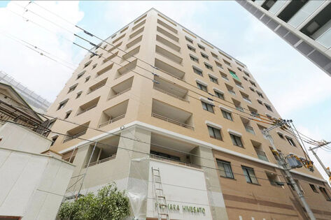 パルメーラ姫里