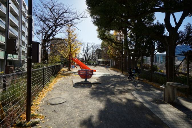 西側約１０ｍにある権現山公園