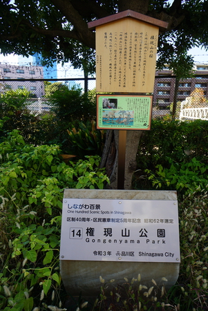 しながわ百景の一つです