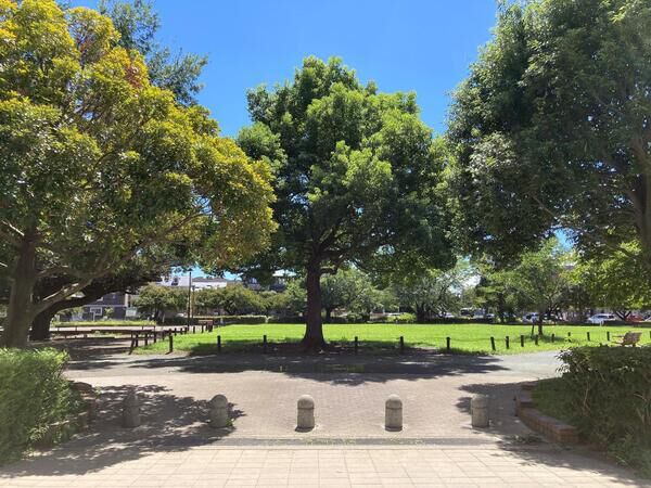 オラリオン広場より橋本公園を望む