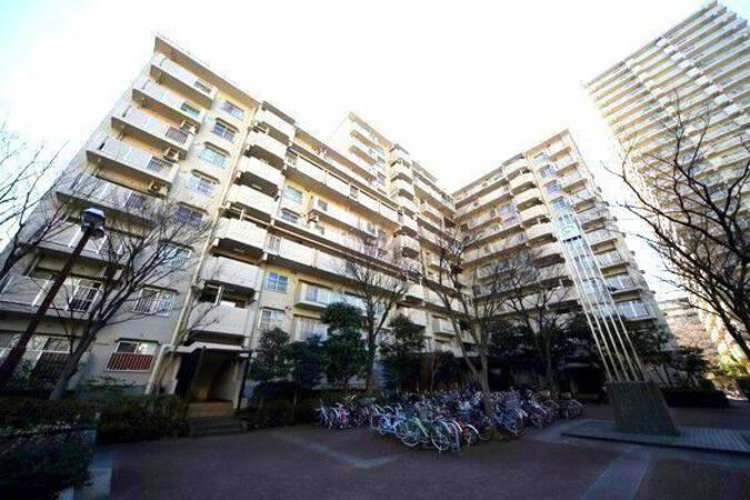 【清新中央ハイツ】1号棟北面。複数の棟が連なっており、家族同士のコミュニティを図れる印象です。 【清新中央ハイツ】1号棟北面。複数の棟が連なっており、家族同士のコミュニティを図れる印象です。