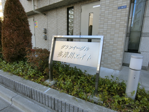 【グランイーグル多摩川エイト】エンブレム
