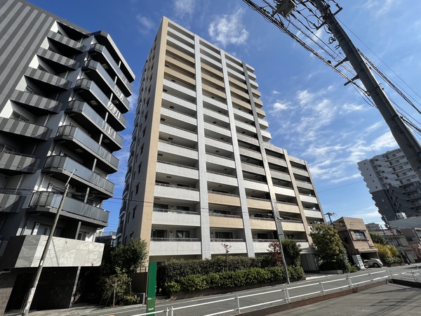 ライオンズ墨田アーバンマークス 3枚目 ライオンズ墨田アーバンマークス