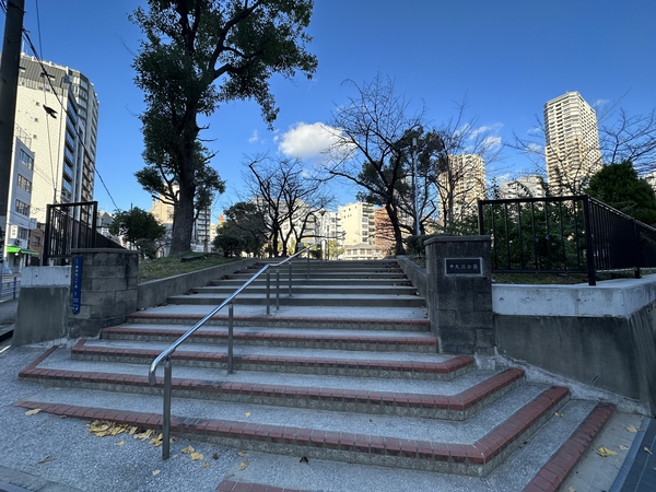 中大江公園 中大江公園
