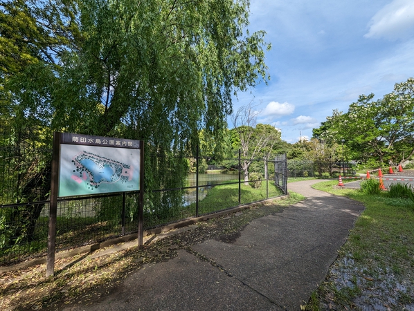 菊田水鳥公園 菊田水鳥公園