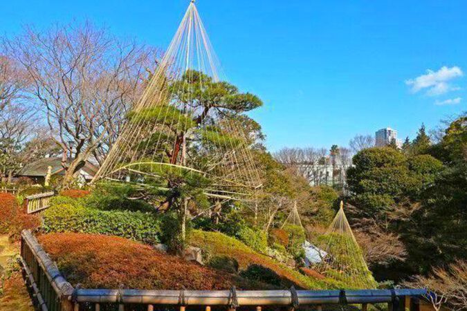 四季折々の花が美しい「池田山公園」まで約770m（徒歩10分）。		