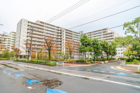 外観 外観