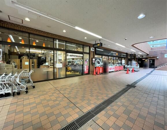 ダイエー板橋サンゼリゼ店まで徒歩9分（約650ｍ）