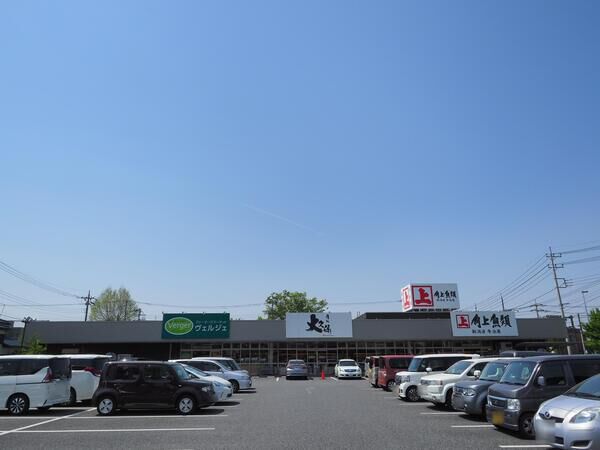 角上魚類　大宮店　約250m