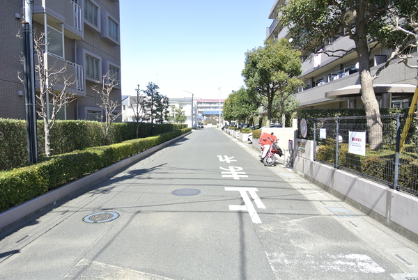 【パークハイツ大宮宮原】前面道路 【パークハイツ大宮宮原】前面道路