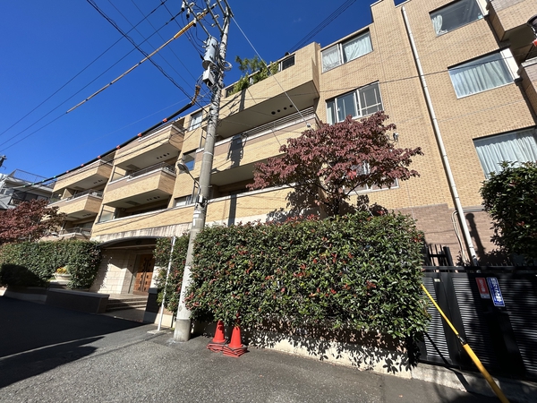 ヒルハイツ代官山