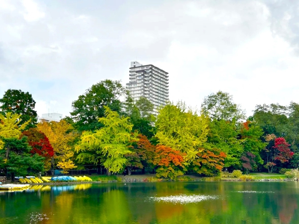 ザ・タワー中島公園ラピスライオンズスクエア