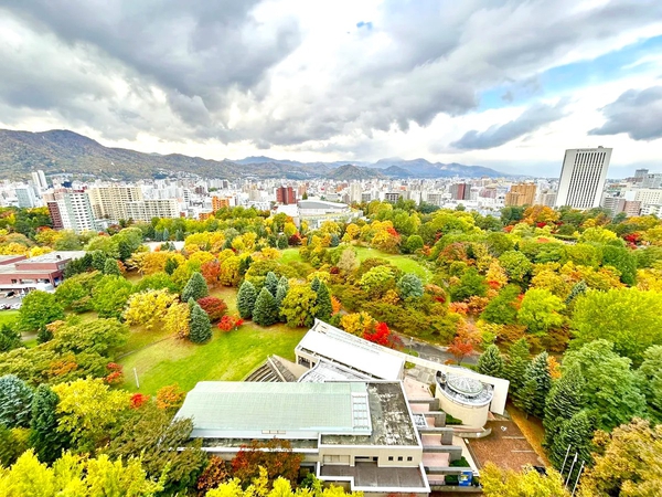 ザ・タワー中島公園ラピスライオンズスクエア
