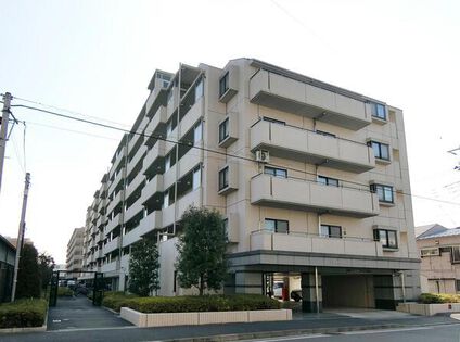 外観 外観