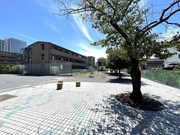 桜木公園　約100m