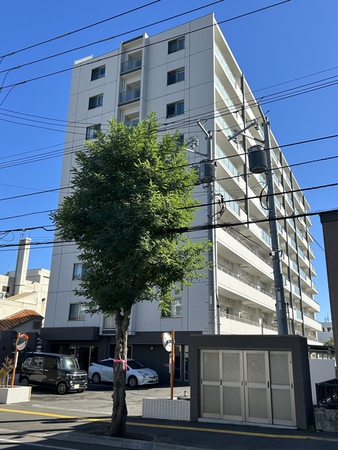 アルビオガーデン北24条