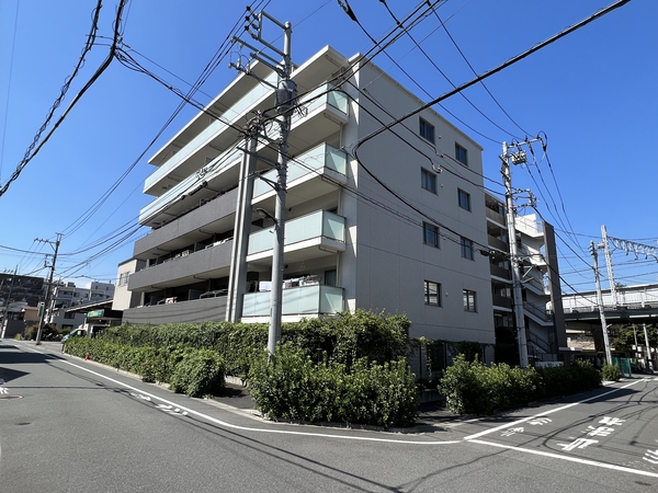 アデニウム志村ブルームフォート