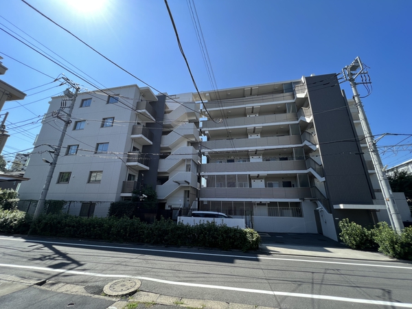 アデニウム志村ブルームフォート