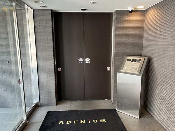 アデニウム志村ブルームフォート