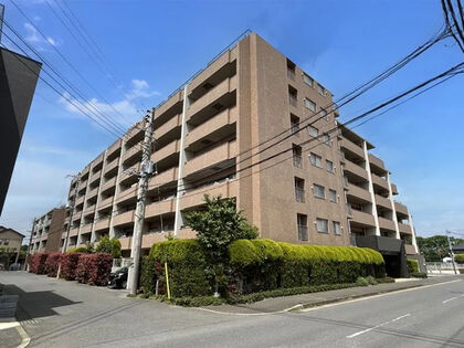 外観 外観