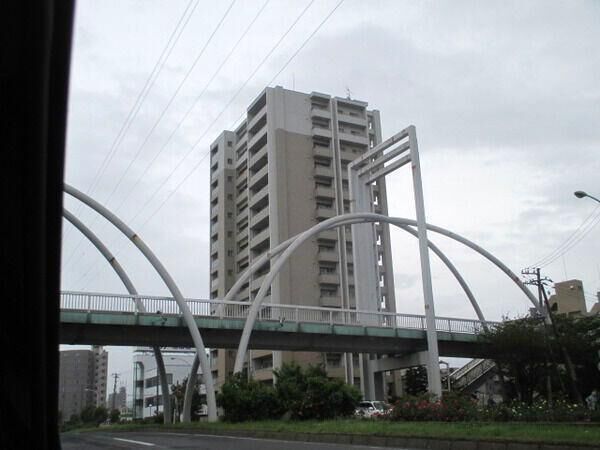 エクセルシオール白石南 3枚目 エクセルシオール白石南