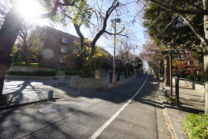 現地から約260ｍ（徒歩4分）御殿山庭園前の道路