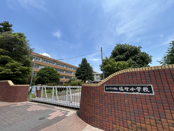 さいたま市立植竹小学校　約800m