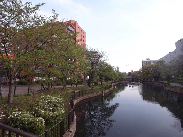 横十間川親水公園