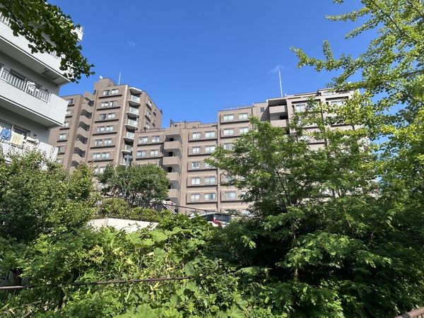 ステイツ福住 5枚目 ステイツ福住