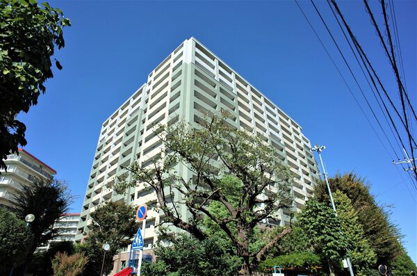 ライオンズガーデン成増ヴィスタヒル 3枚目 ライオンズガーデン成増ヴィスタヒル