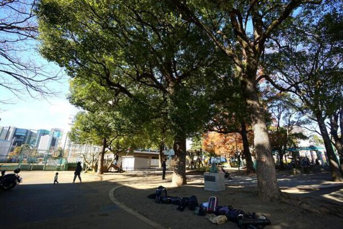 西側の道路向かいにある子供の森公園