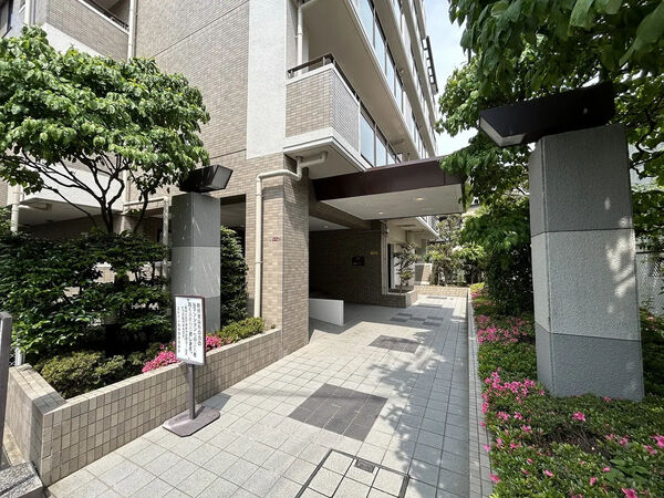 【ステイツ南楠葉】エントランス 【ステイツ南楠葉】エントランス