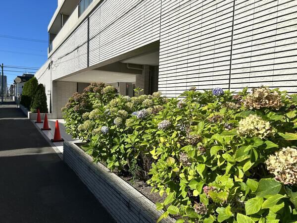 パークハウス菊水若葉公園前