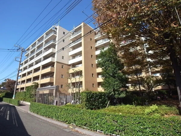 アデニウム吉祥寺