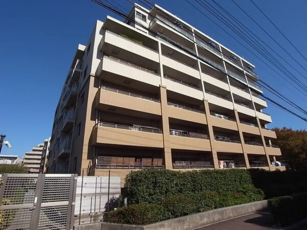 アデニウム吉祥寺